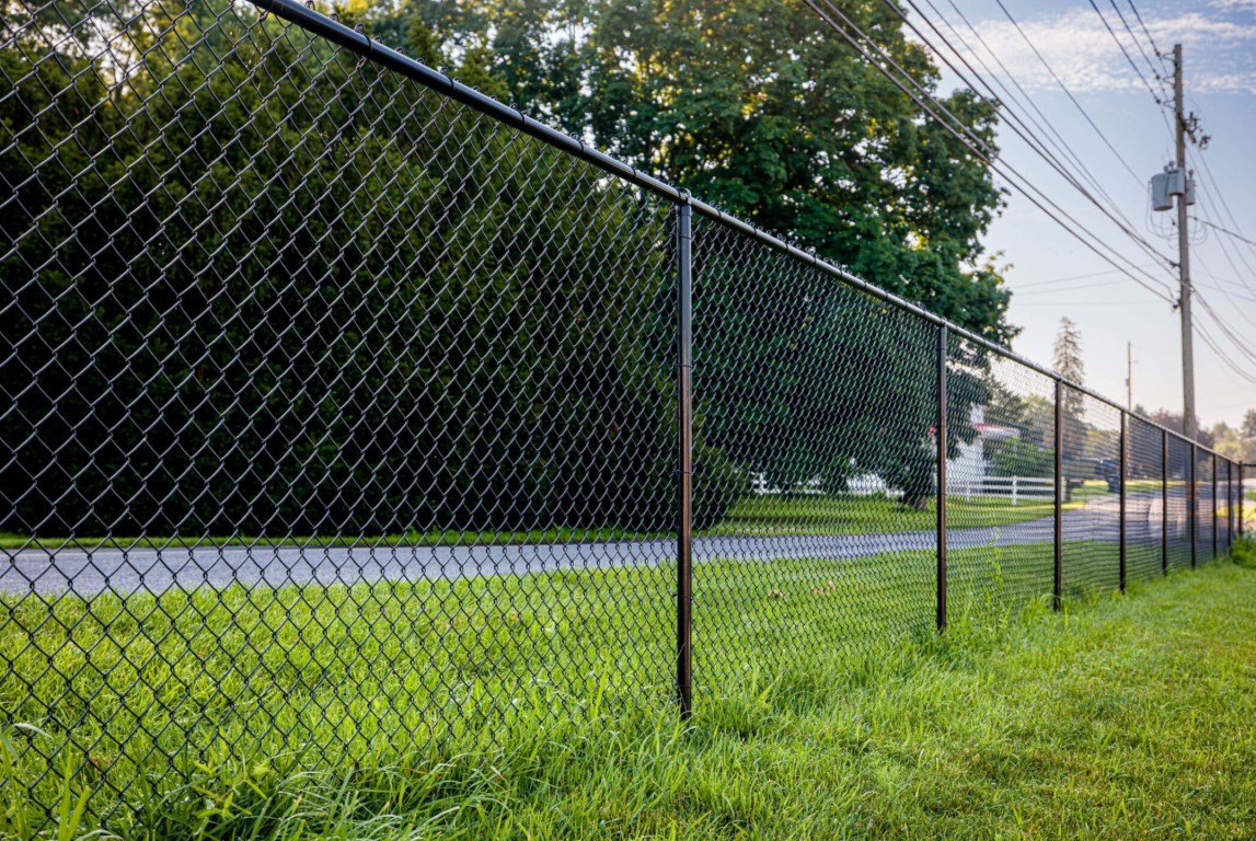 Chain-Link Fences in Mountain View, CA